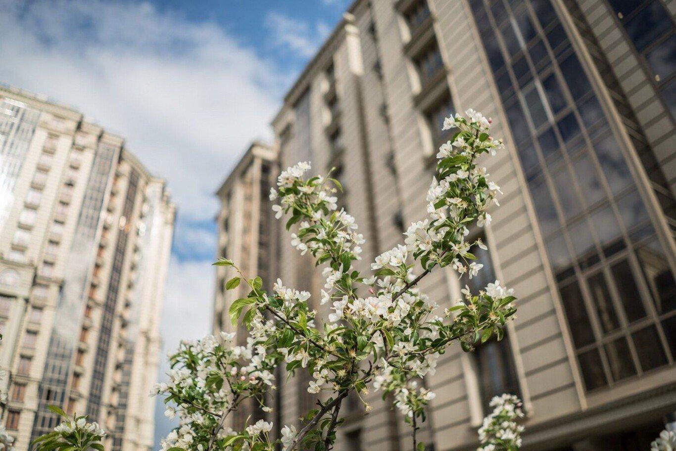 Ремонт в ЖК «Виноградный»